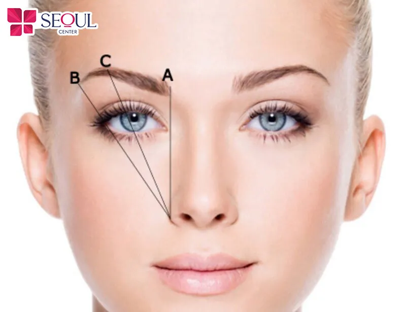 Trước khi kẻ mày bạn cần xác định 3 điểm đầu, đỉnh và đuôi