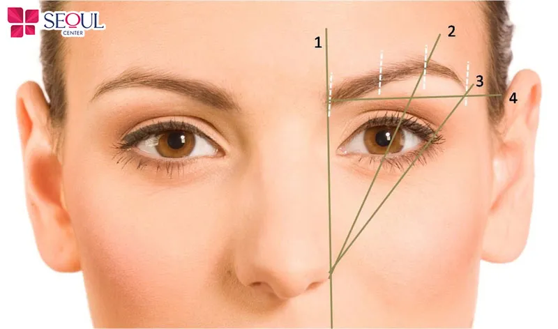 Phun mày ombre phù hợp với nhiều đối tượng đang cần cải thiện dáng mày