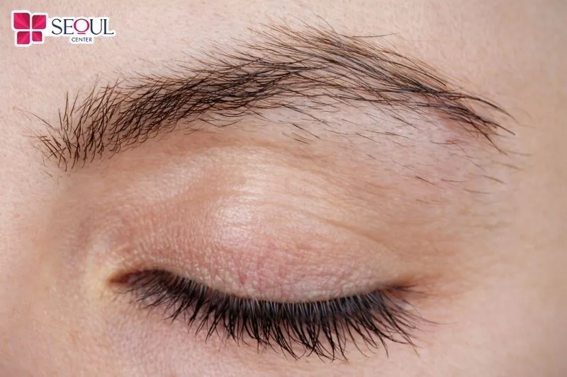 Lông mày tửu trứ mi còn được gọi là lông mày chổi xể thường được xem là người dễ nóng nảy