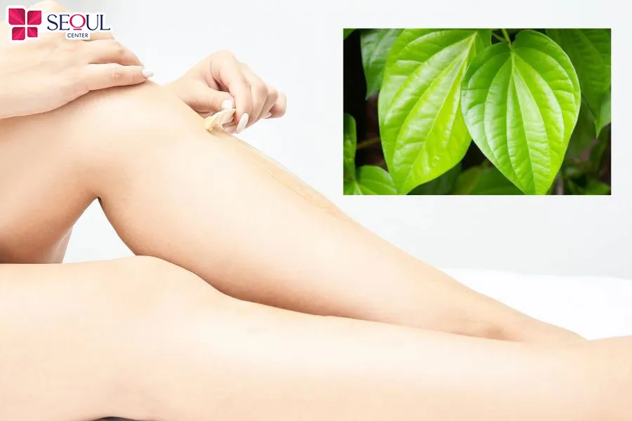 Lá trầu không có chứa một số thành phần giúp ức chế lông mọc lại