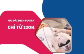 Dịch vụ Phễu 2026