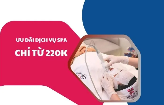 Dịch vụ Phễu 2026