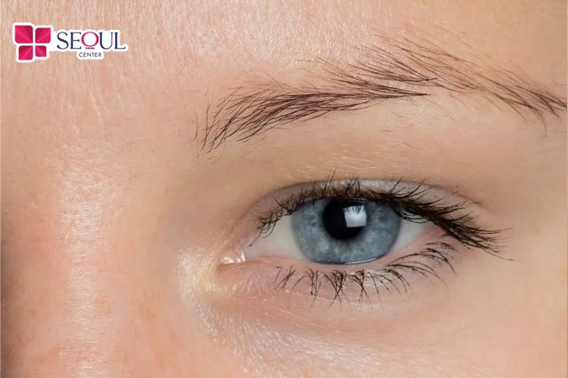 Kiểu mày bị nhạt màu dần về phía đuôi là dáng mày sơ tán mi