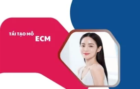Tái tạo mô ECM