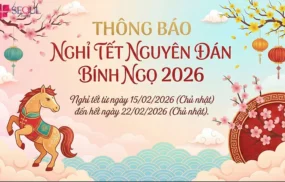 Thẩm mỹ viện Seoul Center thông báo nghỉ Tết Bính Ngọ 2026