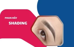 Phun mày shading