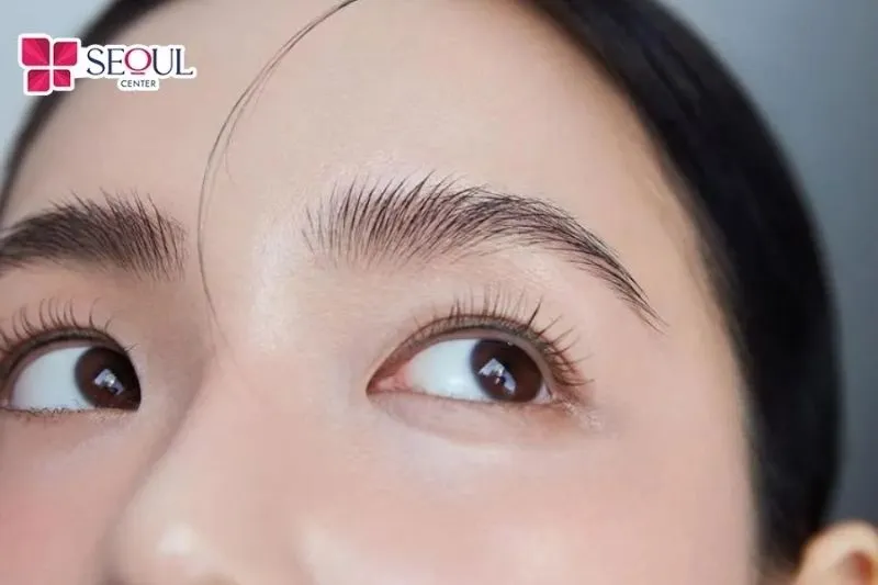 Cận cảnh hình ảnh chân mày phượng hoàng thật sự cuốn hút