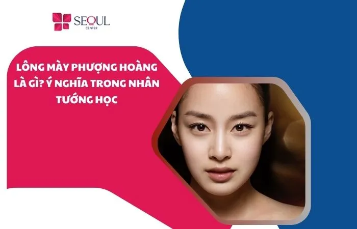 Lông mày phượng hoàng là gì? Ý nghĩa trong nhân tướng học
