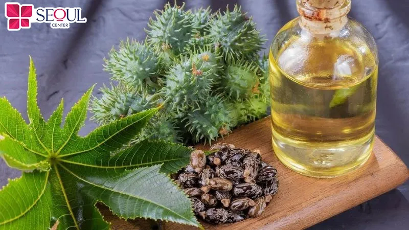 Dầu thầu dầu giúp kích thích lông mày phát triển, hạn chế gãy rụng