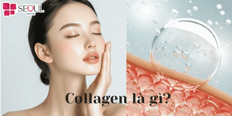 Collagen là một loại protein quan trọng nhất trong cơ thể, có mặt ở khắp các mô liên kết