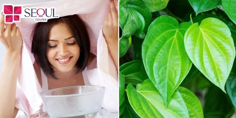 Xông hơi với lá trầu không sẽ giúp da nâng tông, sạch sẽ, đều màu và chống lão hóa