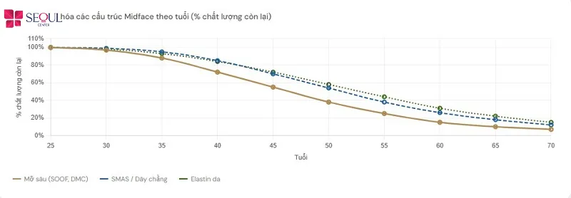 Càng về già, tốc độ lão hóa càng nhanh, nhu cầu sử dụng dịch vụ căng da càng tăng
