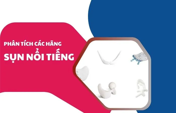 Phân tích các hãng sụn nổi tiếng