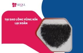 Tại sao lông vùng kín lại xoăn? Cách xử lý hiệu quả