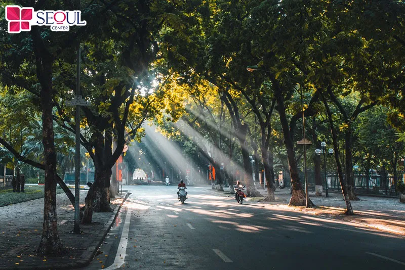 Những ngày có thời tiết đẹp, mát mẻ, khô ráo, độ ẩm trung bình sẽ giúp thu hút năng lượng tích cực, mọi việc suôn sẻ hơn