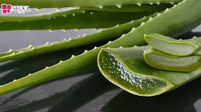 Nha đam có khả năng cấp ẩm và nuôi dưỡng vùng chân mày, tạo điều kiện để sợi lông phát triển khỏe mạnh, mềm mại và đều màu hơn.