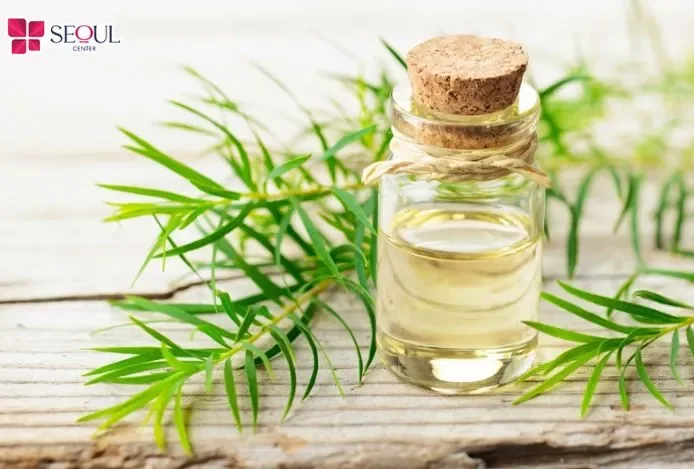 Tinh dầu trà là một cách làm lông mày rậm cho nam hỗ trợ làm sạch nang lông, cải thiện sợi lông mọc khỏe và đều hơn..