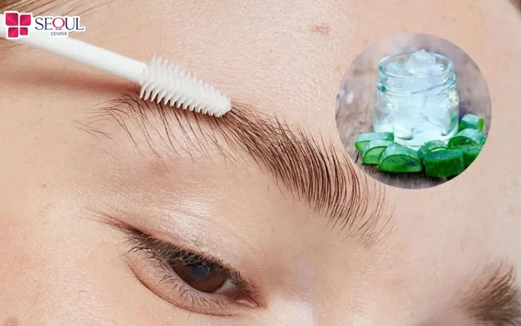 Thoa gel nha giúp kháng viêm, cấp ẩm sâu và kích thích sợi lông sớm mọc lại