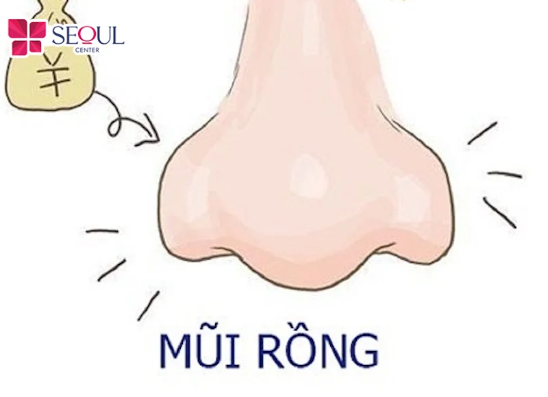 Mũi rồng là dáng mũi mang đến nhiều tài lộc may mắn và sự sung túc