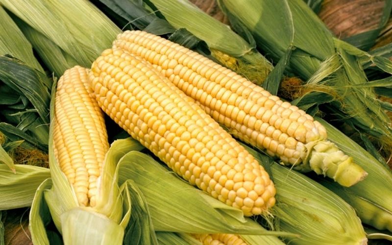 Ngô là lương thực có giá trị dinh dưỡng cho cơ thể - ngô bao nhiêu calo