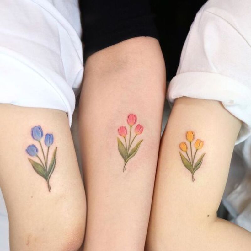 Màu sắc sống động, trẻ trung, mang đến sự dịu dàng, ấn tượng