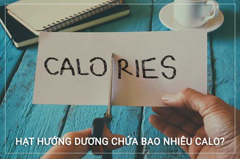 100g hạt hướng dương cung cấp cho cơ thể 584 calo