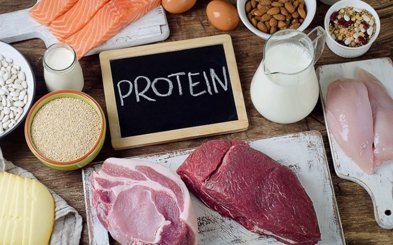 Protein là dưỡng chất quan trọng cần bổ sung vào cơ thể mỗi ngày