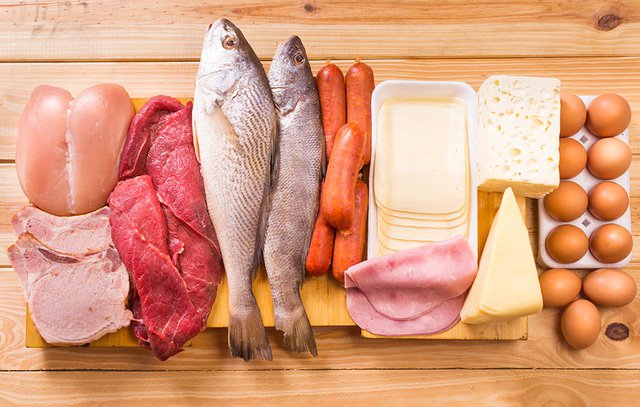 Protein từ động vật mà cơ thể cần thiết phải bổ sung