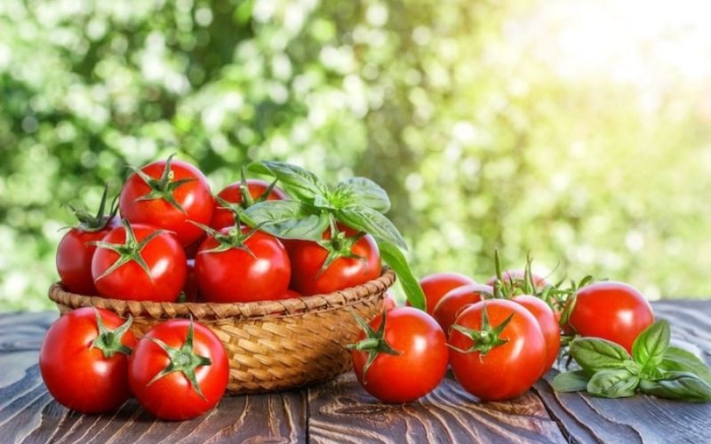 Cà chua chứa nhiều chất dinh dưỡng tốt cho sức khỏe và làm đẹp trắng da