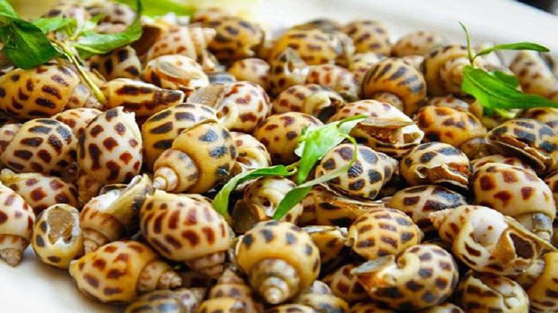 Ốc không chỉ dễ gây sẹo mà còn chứa nhiều loại ký sinh trùng làm môi xỉn màu