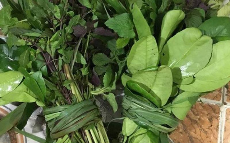 Các nguyên liệu quen thuộc dùng xông hơi chữa bệnh