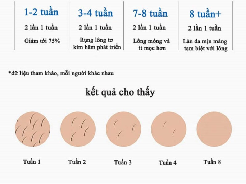 Quá trình lông rụng và sạch hoàn toàn