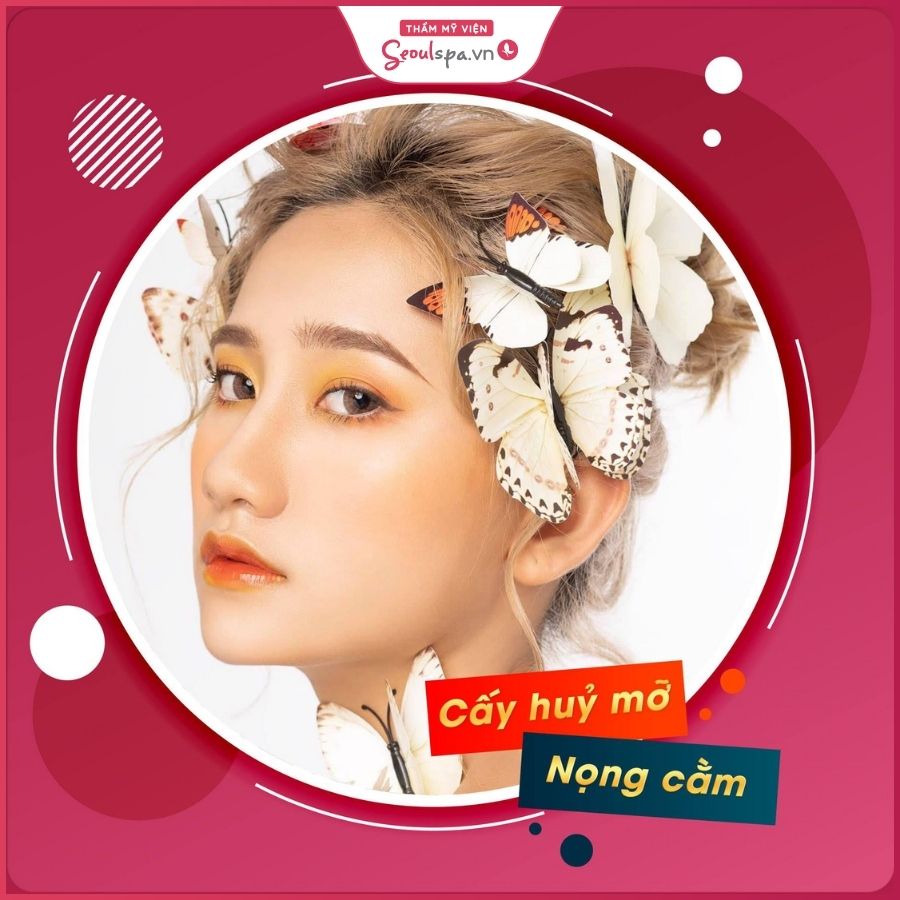 Nên chọn cấy hủy mỡ nọng cằm tại Thẩm mỹ viện Seoul Spa