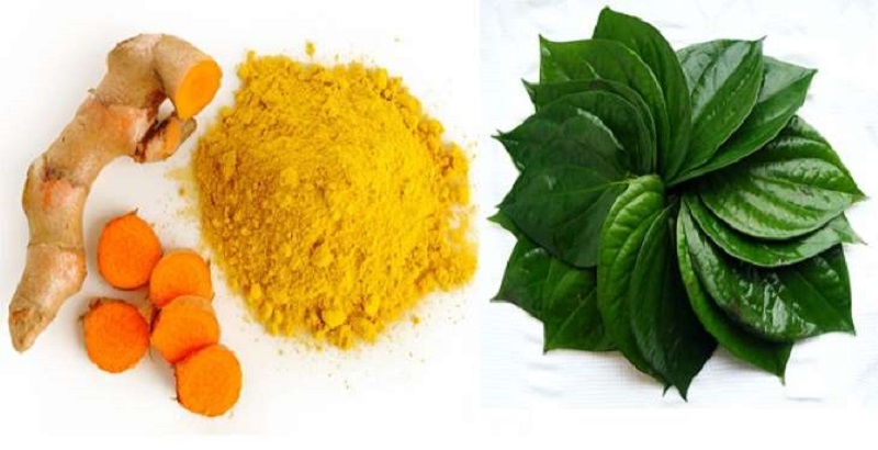Top 20+ Cách Chữa Nám Da Mặt Bằng Lá Trầu Không Top 8 cách trị nám bằng lá trầu không tại nhà hiệu quả 37 Nghệ và lá trầu không là hỗn hợp trị nám da dễ thực hiện tại nhà khá hiệu quả