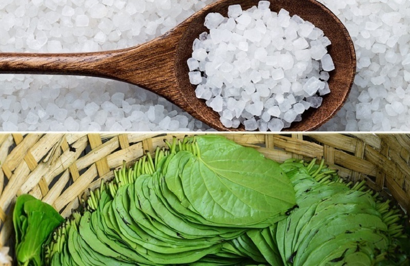 Top 20+ Cách Chữa Nám Da Mặt Bằng Lá Trầu Không Top 8 cách trị nám bằng lá trầu không tại nhà hiệu quả 38 Lá trầu không và muối trị nám, kháng khuẩn giúp da khỏe mạnh