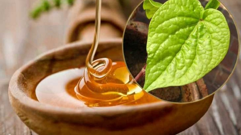 Top 20+ Cách Chữa Nám Da Mặt Bằng Lá Trầu Không Top 8 cách trị nám bằng lá trầu không tại nhà hiệu quả 39 Mật ong và lá trầu không trị nám, dưỡng ẩm da an toàn