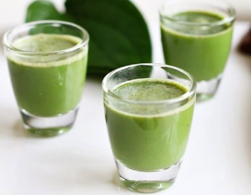 Top 20+ Cách Chữa Nám Da Mặt Bằng Lá Trầu Không Top 8 cách trị nám bằng lá trầu không tại nhà hiệu quả 40 Lá trầu không uống trực tiếp sẽ giúp đào thải độc tố và giảm nám da