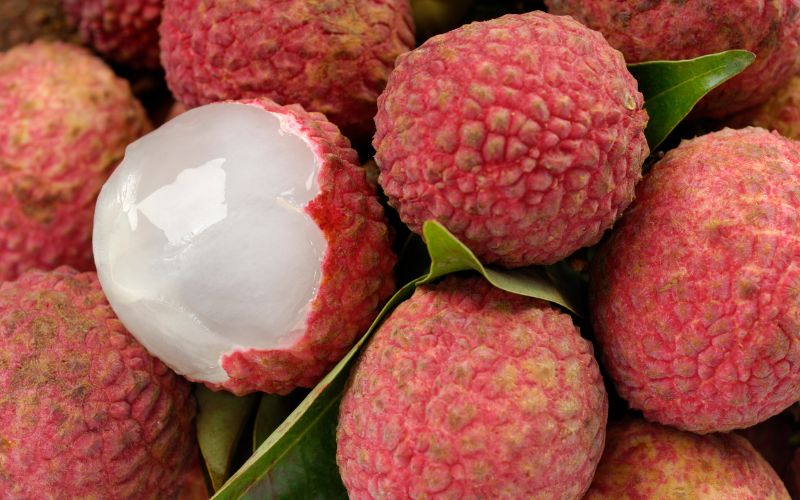 Top 20+ Đông Trùng Hạ Thảo Kim Cương Vàng Giá Bao Nhiêu Ăn táo có nổi mụn không? Bật mí mẹo ăn táo tốt cho sức khỏe 55 Ăn vải dễ gây nổi mụn