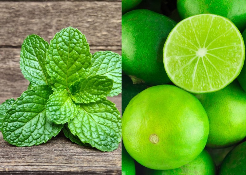 Mẹo điều trị nám da ở tay đơn giản bằng rau húng quế và chanh