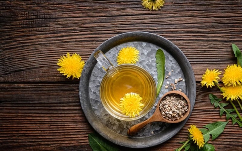 Trà bồ công anh cũng tốt cho thai nhi