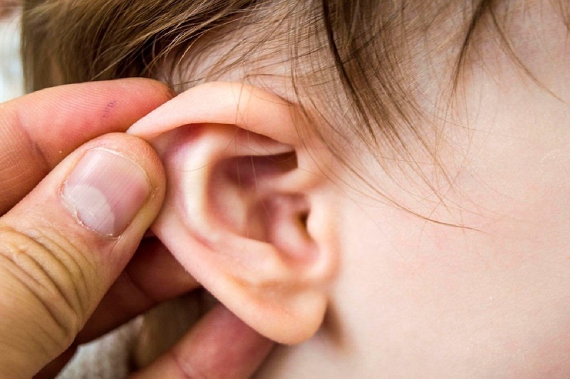 Sụn vành tai thường được dùng để đệm chóp mũi
