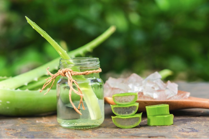 Nha đam cũng là một trong những nguyên liệu có thể cải thiện mụn dưới lưỡi