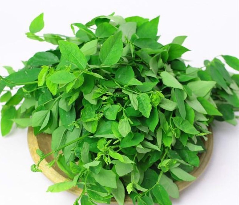 Rau ngót có nhiều thành phần tốt cho cơ thể