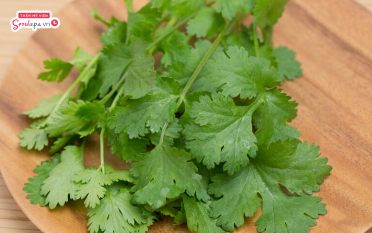 TOP 5 cách trị thâm môi bằng rau mùi hiệu quả đến bất ngờ
