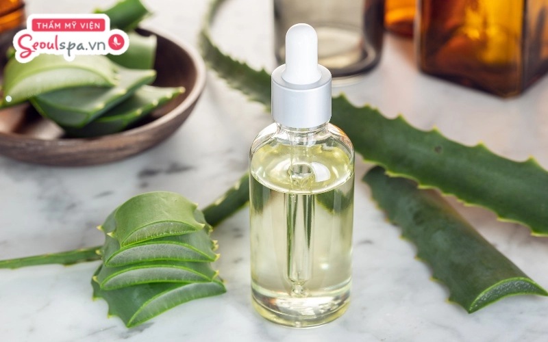 Kết hợp nha đam và tinh dầu tràm trà được biết đến là công thức làm dịu da kích ứng sau khi triệt lông hiệu quả