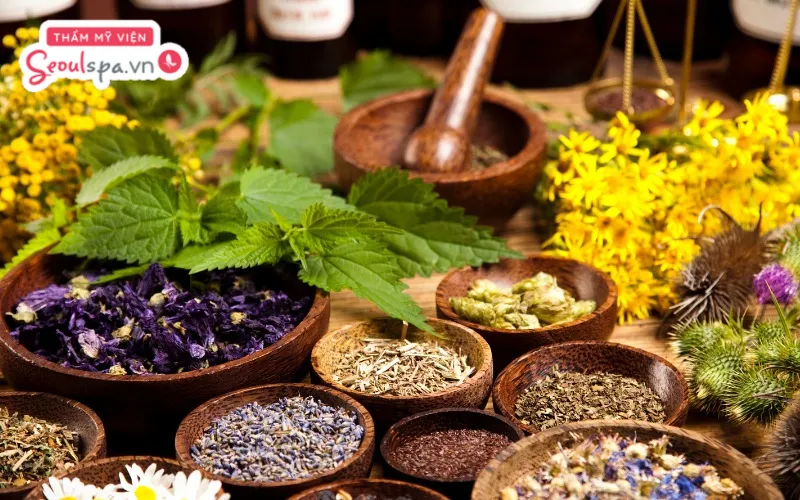 Sử dụng thảo dược trong triệt lông đúng cách có thể giúp loại bỏ lông một cách an toàn, dịu nhẹ mà không gây kích ứng da