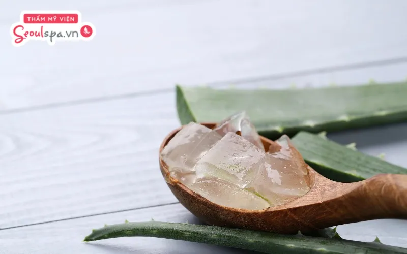 Sử dụng nha đam đúng cách có thể giúp nang lông suy yếu, dễ rụng và hỗ trợ lông mọc lại chậm hơn