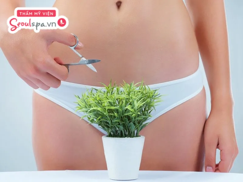 Tỉa lông vùng kín được xem là giải pháp giúp vùng kín trở nên sạch sẽ và gọn gàng hơn 