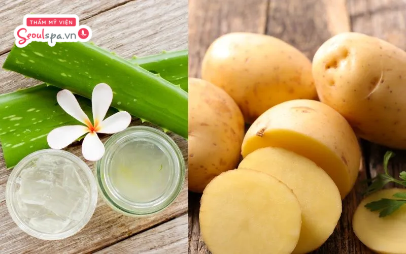 Hỗn hợp khoai tây nghiền và nha đam là cách triệt lông chân vĩnh viễn tại nhà cho nữ hiệu quả