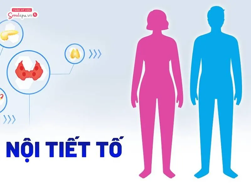 Rối loạn nội tiết tố cũng có thể ảnh hưởng đến chu kỳ mọc lông chân